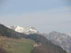 dava49_small.jpg