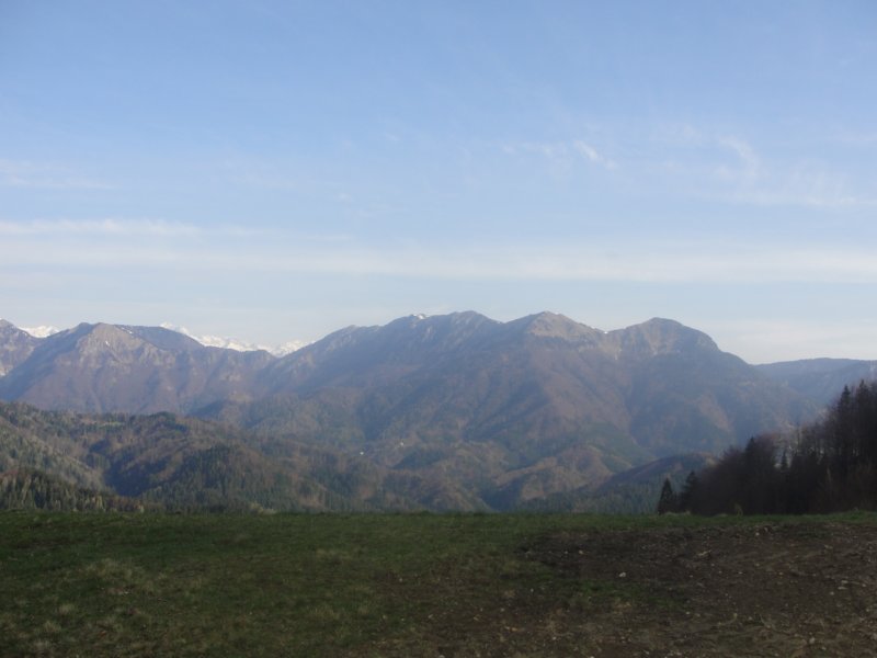 dava5.jpg
