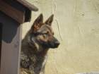 doberdobskikras55_small.jpg
