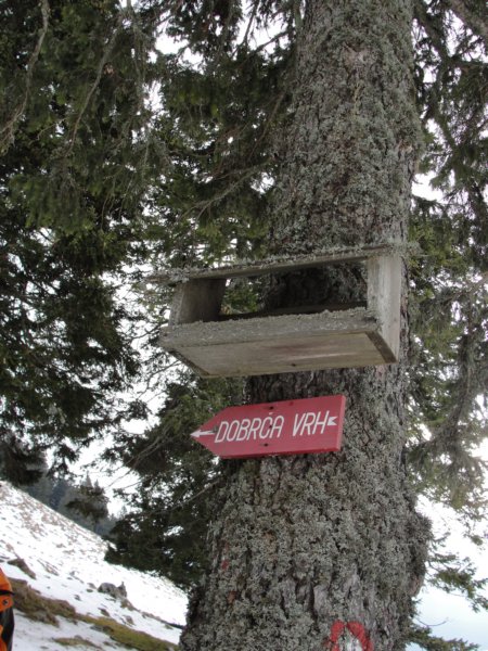 dobra17.jpg