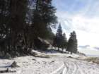 dobra201313_small.jpg