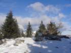dobra201314_small.jpg