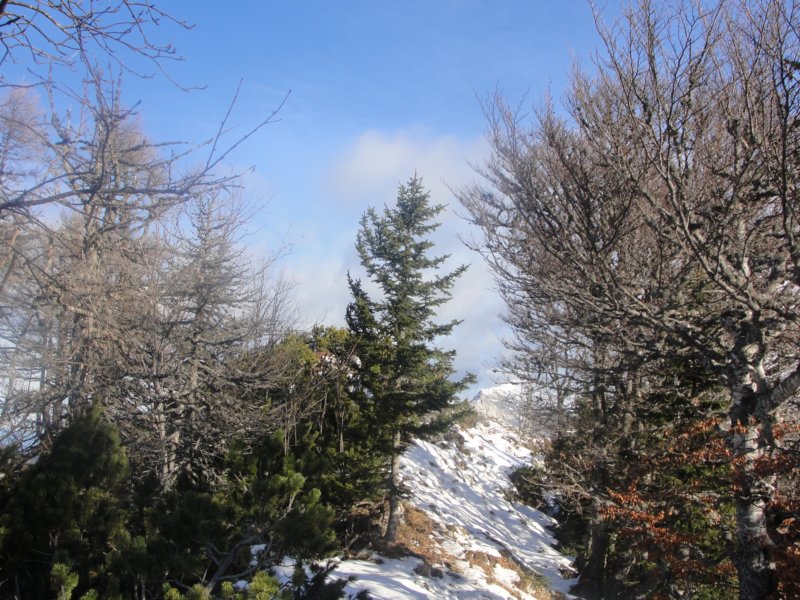dobra201316.jpg