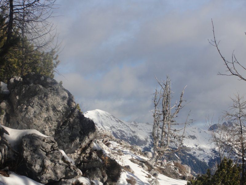 dobra201317.jpg