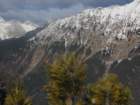 dobra201319_small.jpg