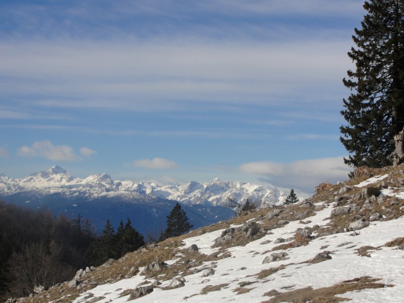 dobra201325.jpg