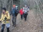 dobra20133_small.jpg