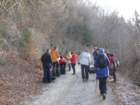 dobra20135_small.jpg