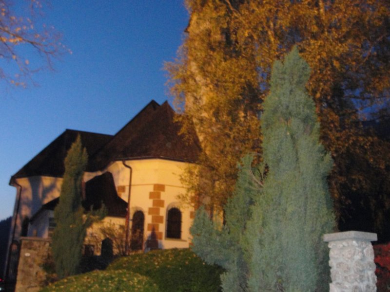 dovje1.jpg