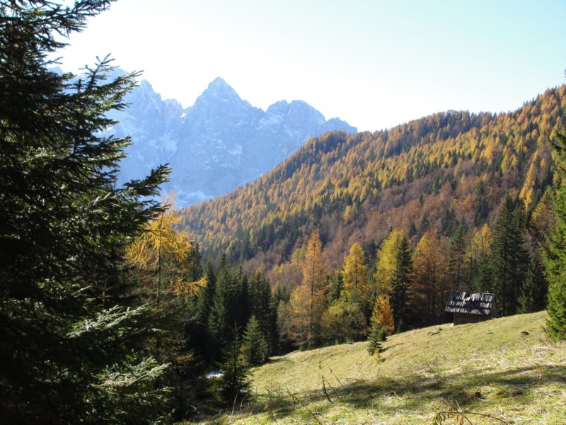 dovje42.jpg