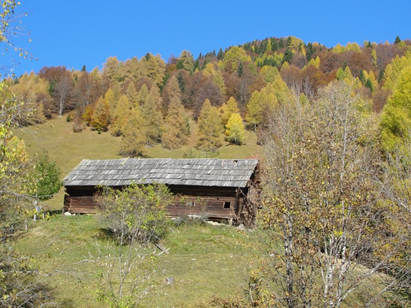 dovje51.jpg