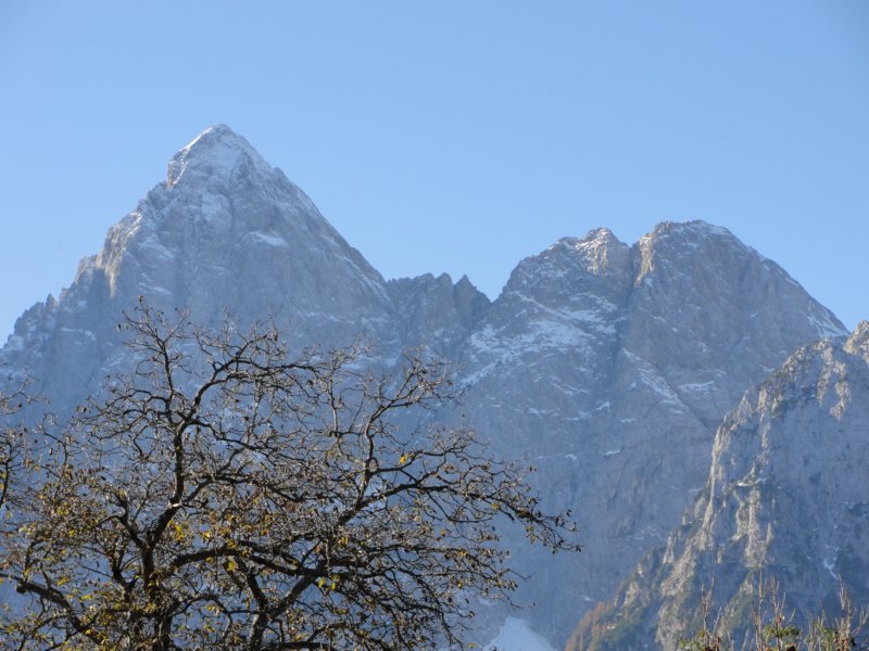 dovje56.jpg