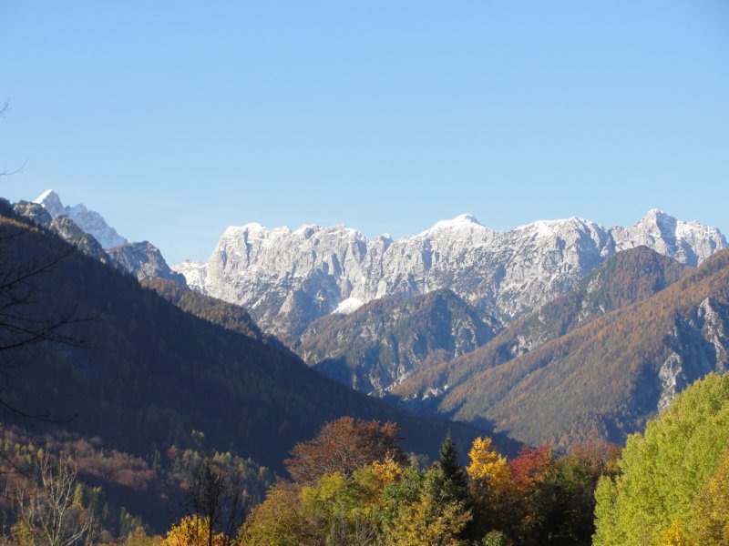 dovje57.jpg