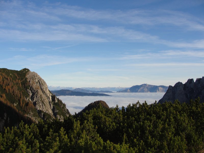 mangartskaplanina39.jpg