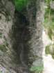 driselpoh10_small.jpg