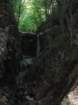 driselpoh28_small.jpg
