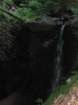 driselpoh29_small.jpg