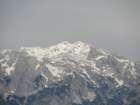 driselpoh70_small.jpg