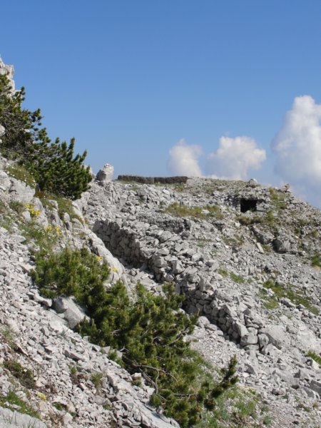 dvepici45.jpg