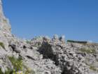 dvepici48_small.jpg