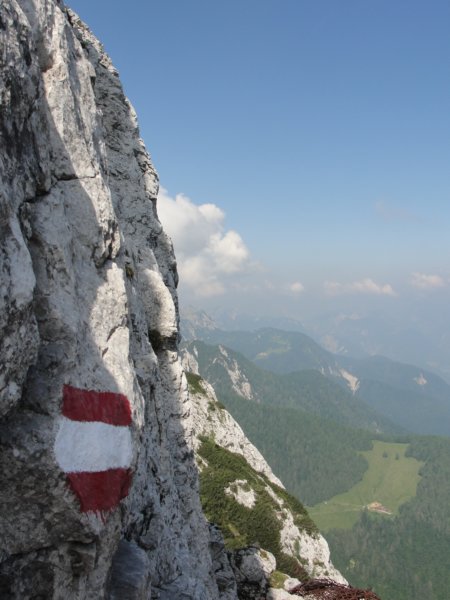 dvepici49.jpg