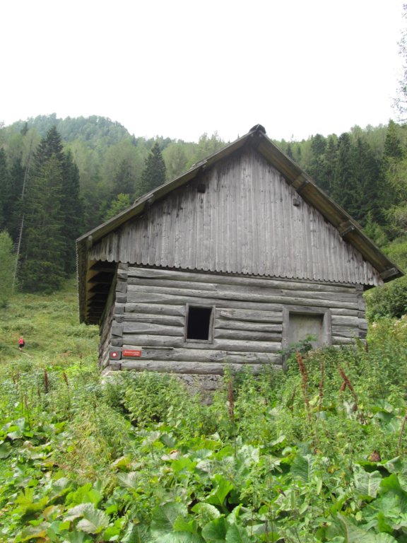 ekakoa20.jpg