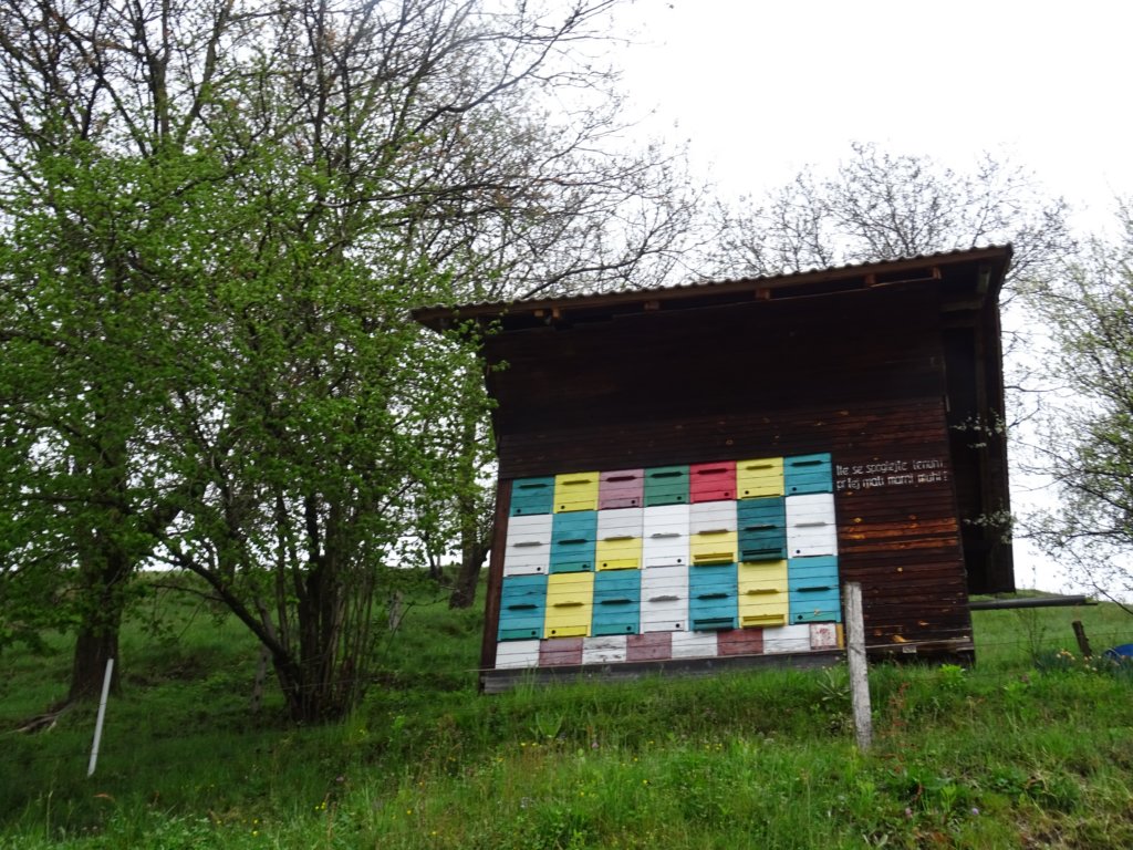 emenikaplanina202215.jpg