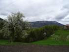 emenikaplanina202264_small.jpg