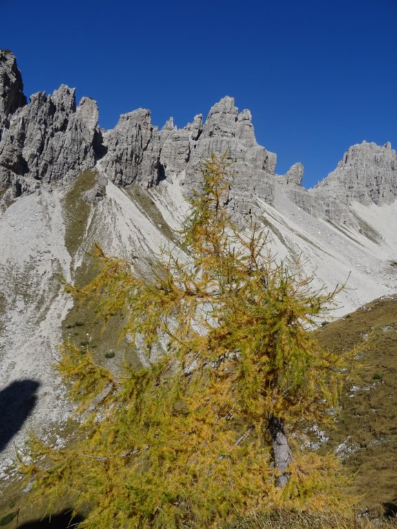 furlanskidolomiti37.jpg