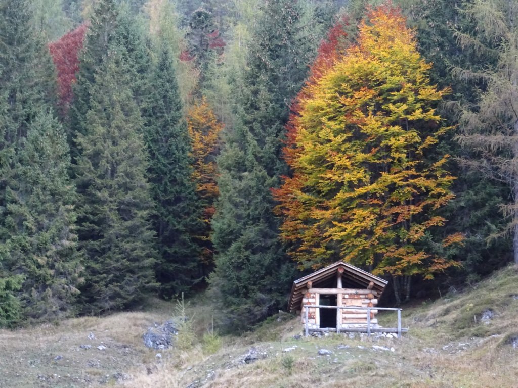 furlanskidolomiti84.jpg