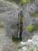 glinica31_small.jpg