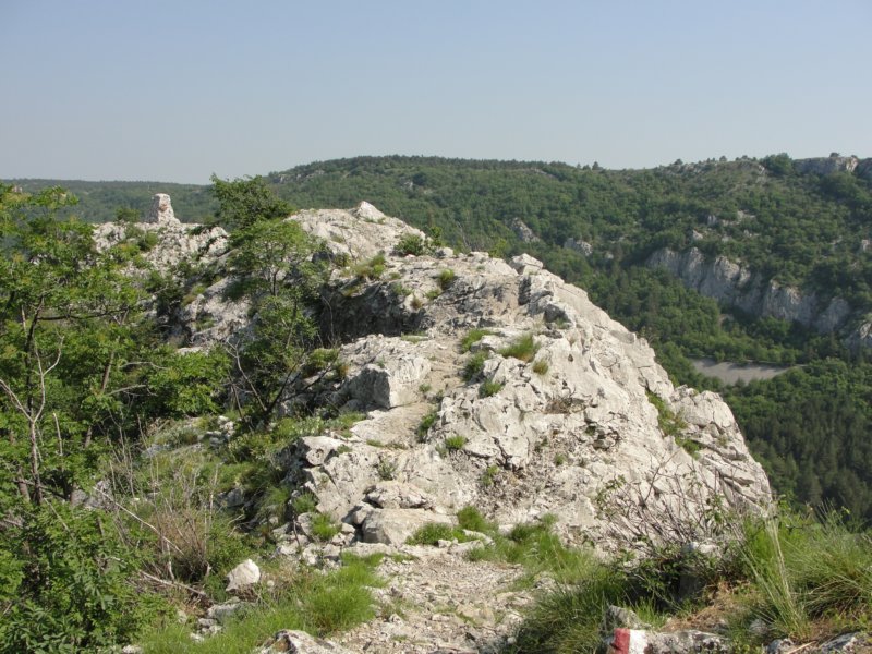 glinica58.jpg