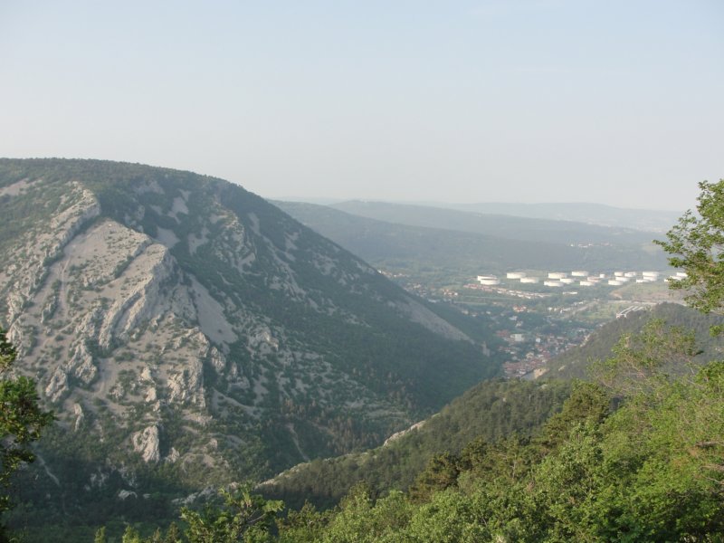 glinica6.jpg