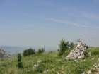 glinica86_small.jpg