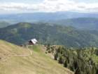 ptijivrhgolica81_small.jpg