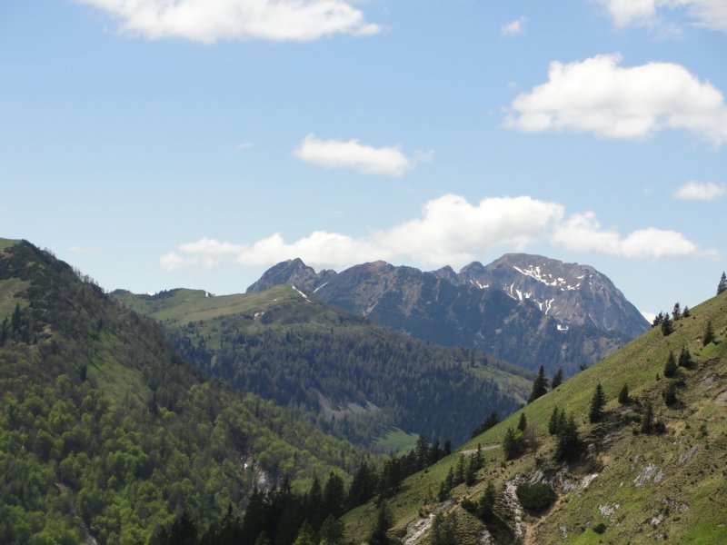 ptijivrhgolica88.jpg
