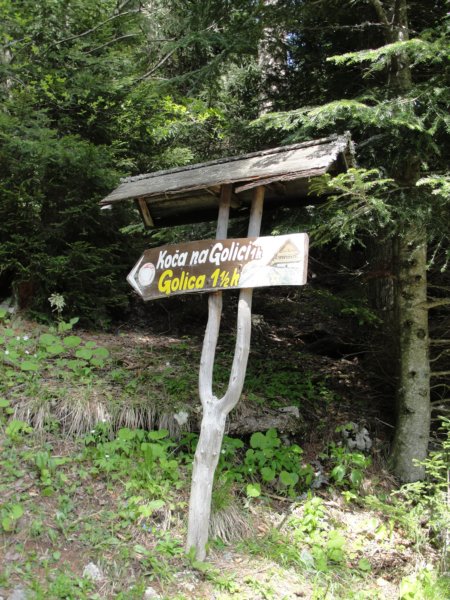 ptijivrhgolica93.jpg