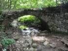 gorikabrda52_small.jpg