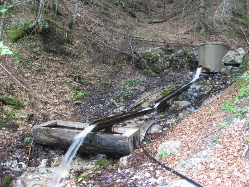 pohodstankakoflerja16.jpg
