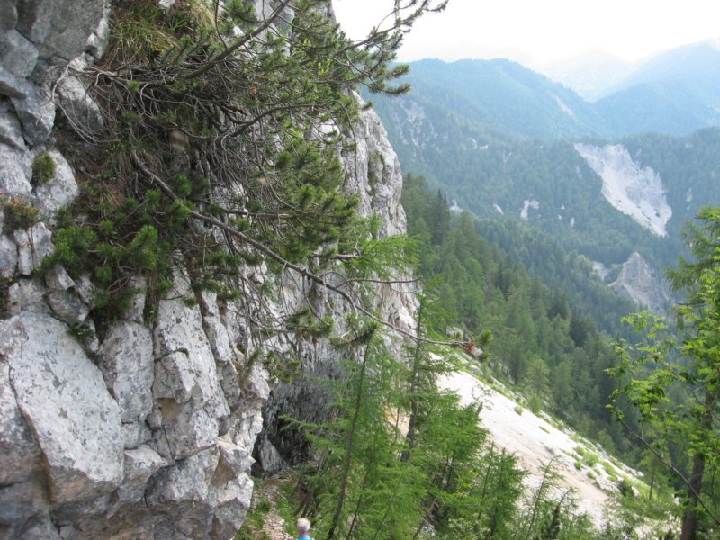 pohodstankakoflerja23.jpg