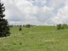grpica44_small.jpg