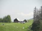 grpica58_small.jpg