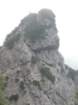 gubno10_small.jpg