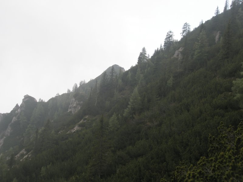 gubno11.jpg