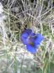 gubno12_small.jpg