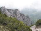 gubno15_small.jpg
