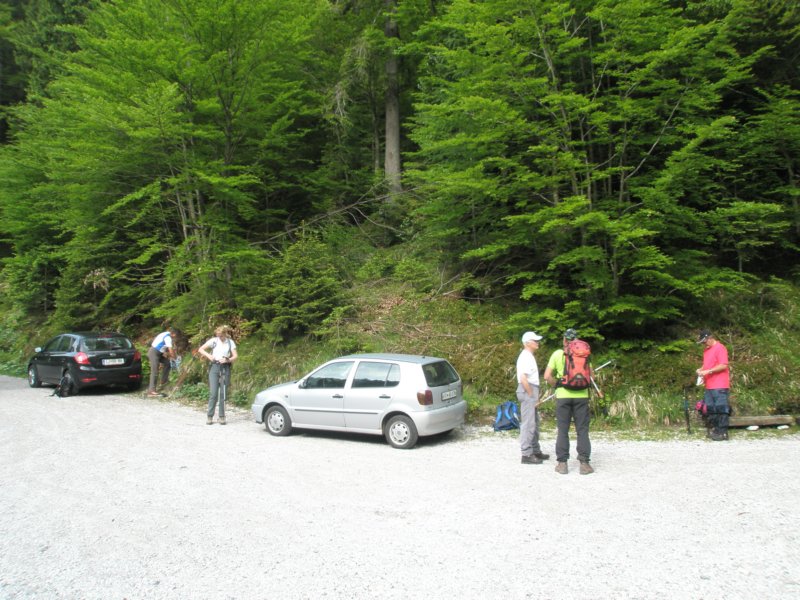 gubno2.jpg