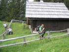 gubno22_small.jpg