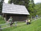 gubno23_small.jpg