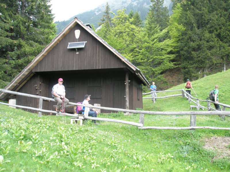 gubno24.jpg